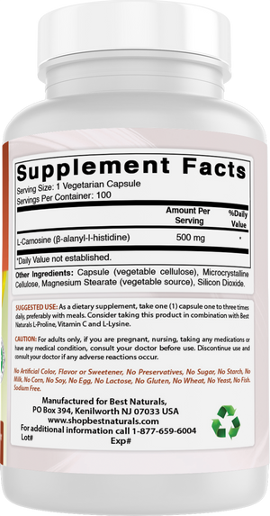 Best Naturals L-Carnosine 500 mg 100 Vegetarian Capsules