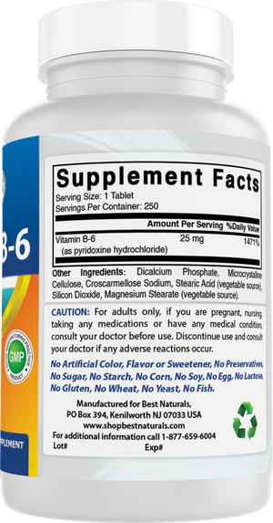 Best Naturals Vitamin B6 100 mg 250 Tablets