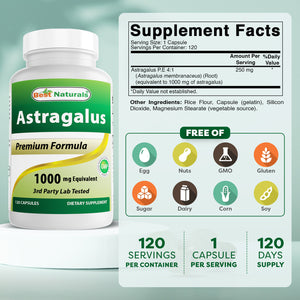 Best Naturals Astragalus Extract 1000mg 120 Capsules
