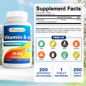 Best Naturals Vitamin B6 100 mg 250 Tablets