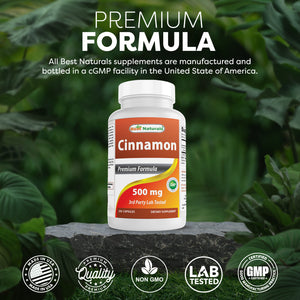 Best Naturals Cinnamon 500 mg 250 Capsules