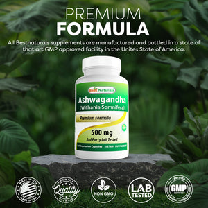 Best Naturals Ashwagandha 500mg 120 Capsules