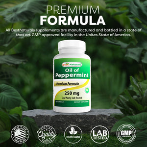 Best Naturals Peppermint oil 250 mg 120 Capsules